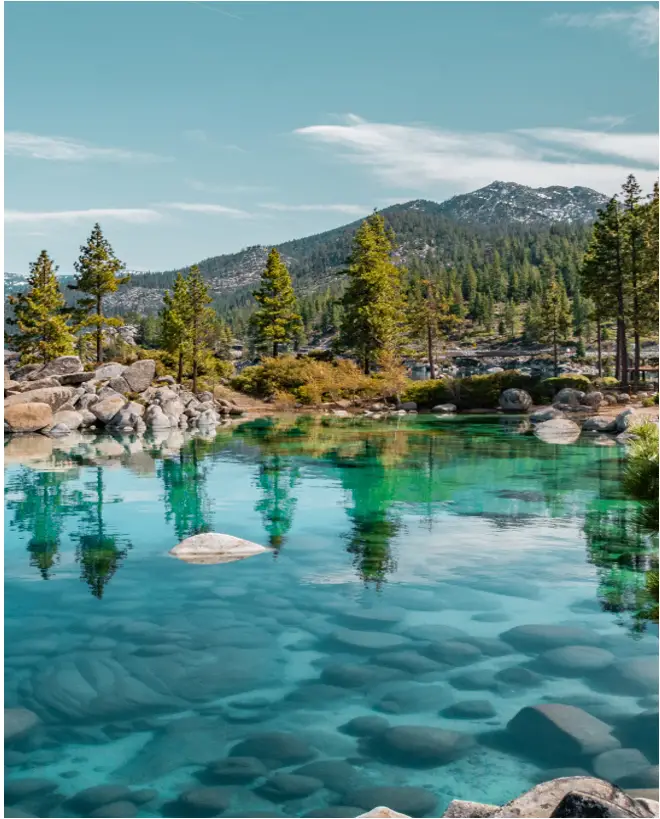 RELiON Legacy Series Deep Cycle Lithium Batteries - fig