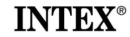 intex logo