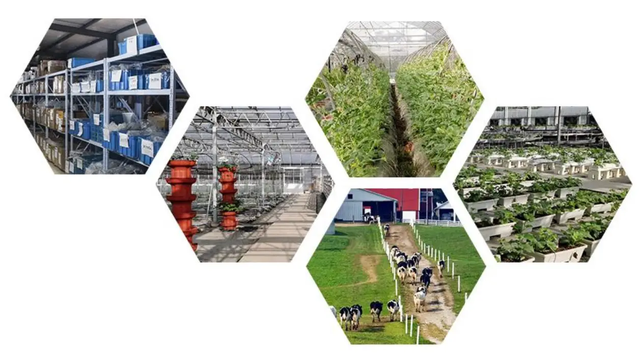 SONBEST SD2160B RS485 illuminance Acquisition Display - How to use