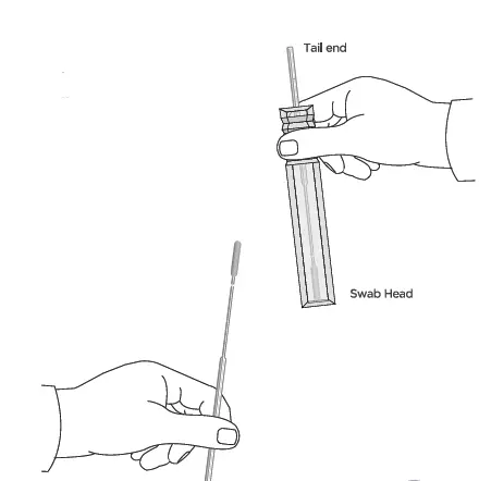 Mylab-CoviSelf-Covid-19-Rapid-Antigen-Test-fig-7