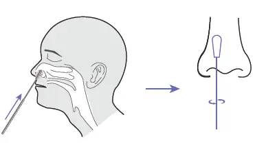 Mylab-CoviSelf-Covid-19-Rapid-Antigen-Test-fig-8