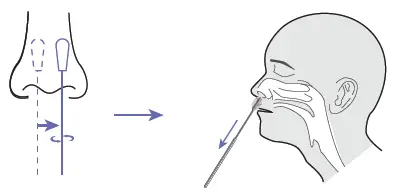 Mylab-CoviSelf-Covid-19-Rapid-Antigen-Test-fig-9
