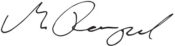 DEWALT D21580 Electric Diamond Drill - Signature