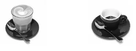 Breville BES870 Espresso Coffee Maker-57