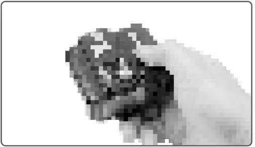 Godox QT400IIM Flash Head 18