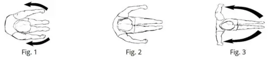 FIG 14 Basic rowing movement.JPG