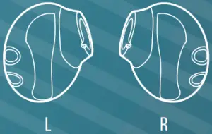 JBL Endurance - What's in the box 4