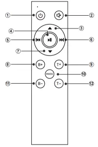 FOSI AUDIO T10 Wifi Bluetooth Stereo Receiver Amplifier - Infrared Remote Control