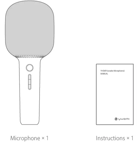 YHEMI YMMKF005 Karaoke Microphone 2 FIG 1