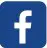 FB Icon