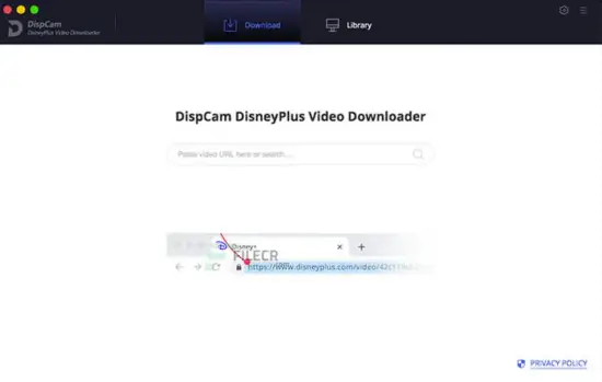 DispCam Windows Excellent Video Downloading Tool Product Image