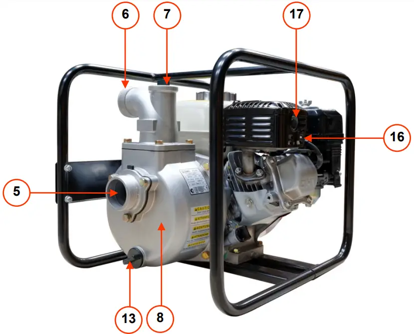 Key to illustrations