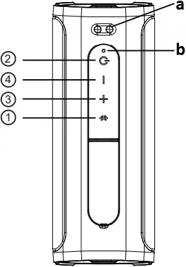 BT138P - Discription 1