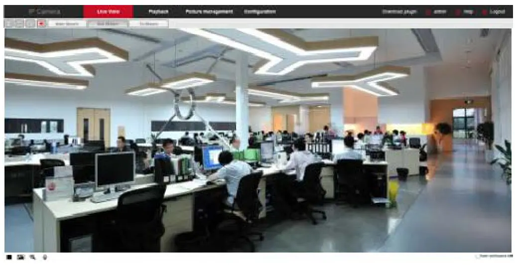 Longse LMDERL400 Security Camera - browser