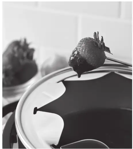 greenlife CC005120-001 Fondue Party Set - FIG 2