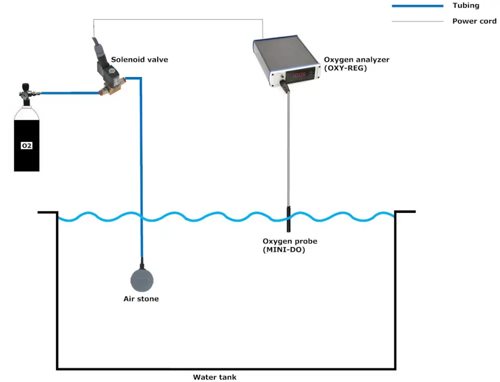 Loligo Systems OXY REG Oxygen Analyzer and Regulator System - SETUP