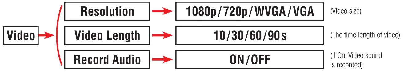 BRAUN BLACK700 Scouting Camera - Figure 12