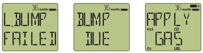 Manual Bump Test Instructions
