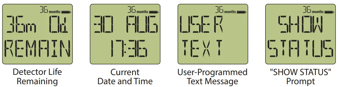 Manual Bump Test Instructions