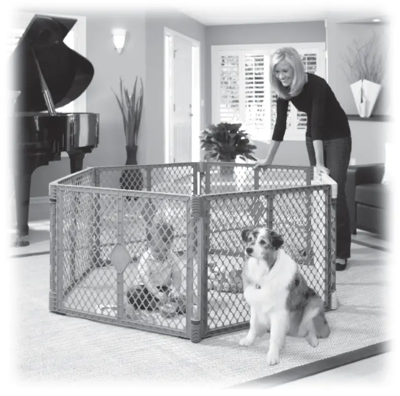 north states Toddleroo Superyard Colorplay