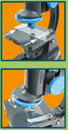 Trends 100X Microscope- focusing knob