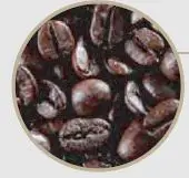 Delonghi EC9665M Specialist Maestro Espresso Coffee Maker-13