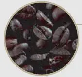 Delonghi EC9665M Specialist Maestro Espresso Coffee Maker-15