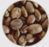 Delonghi EC9665M Specialist Maestro Espresso Coffee Maker-9