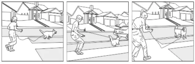 doBe Dog Training Anti-Bark - Cashing