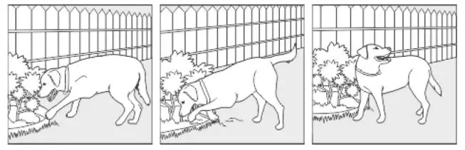 doBe Dog Training Anti-Bark - Digging