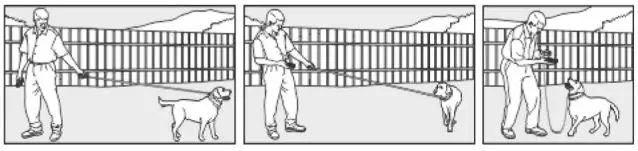 doBe Dog Training Anti-Bark - The Come Command