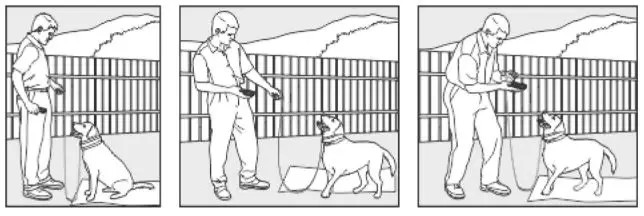 doBe Dog Training Anti-Bark - The Stay Command