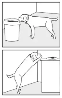 doBe Dog Training Anti-Bark - Trash Raiding