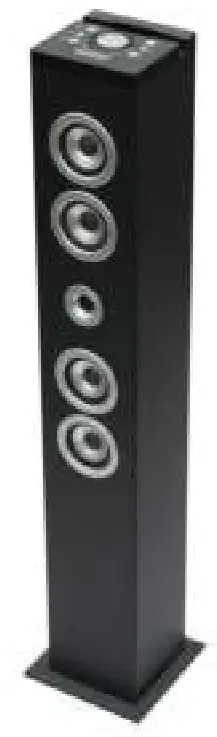 iCES IBT 6 Bluetooth Speaker Tower with FM Radio and USB - Fig