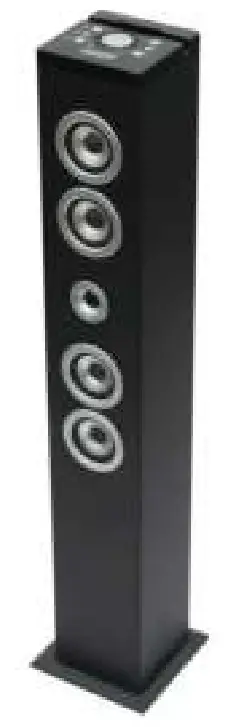 iCES IBT 6 Bluetooth Speaker Tower with FM Radio and USB