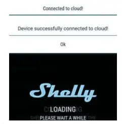 Shelly 2.5 2 Circuit WiFi Relay Switch - app11