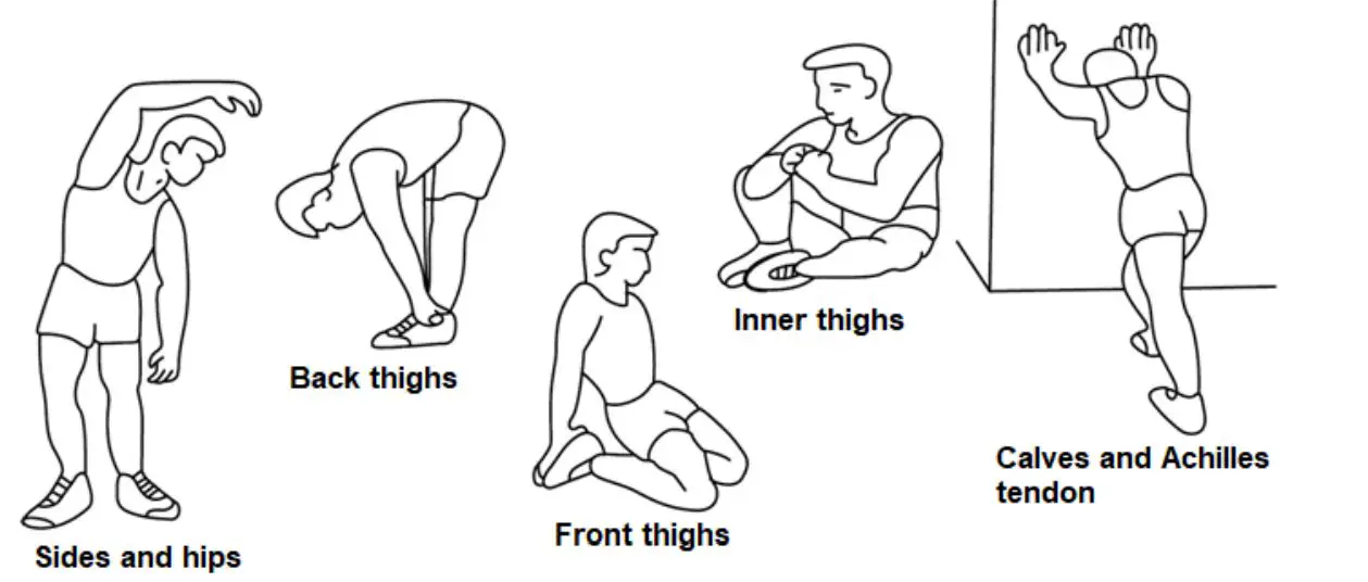 insportline LCR1103 Wall-Mounted Pull-Up Bar - Warm Up