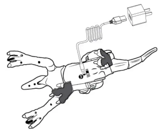 Velociraptor Charging