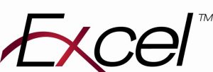 Excel logo