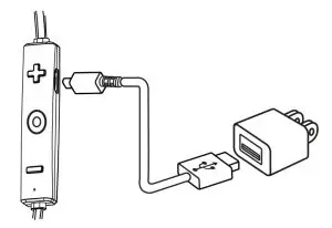 Bluestone EB1 uBuds Bluetooth Earbuds - chargong