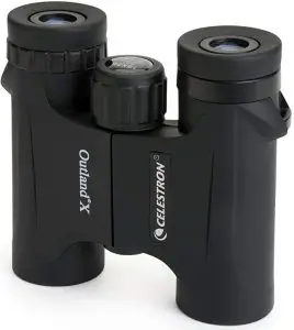 ADJUSTING THE INTERPUPILLARY DISTANCE (IPD)