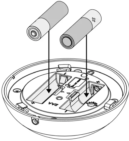 Install the Batteries