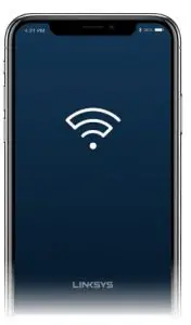 screen of a cell phone