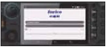 Inrico TM9 PoC Mobile Radio - passwort