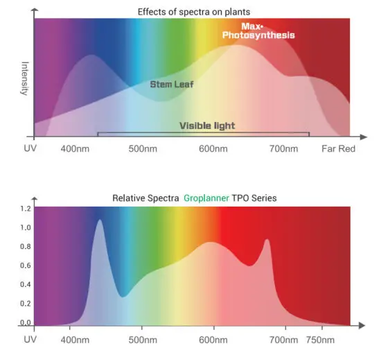 Groplanner TPO Series 640W Full Spectrum LED Grow Light - figure 8
