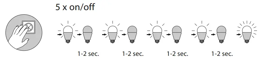 Paul-Neuhaus-6721-Q-Rosa-Ceiling-Light-7