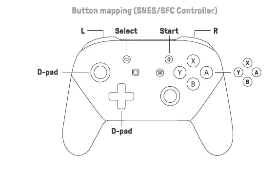 Switoh Pro controller