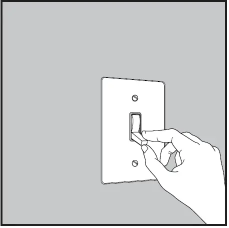 globe 65558 Alexandria 10 Inch 2 Light Matte Black 01