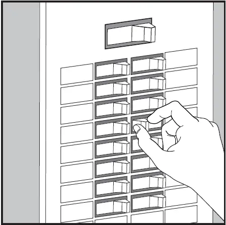 globe 65558 Alexandria 10 Inch 2 Light Matte Black 02