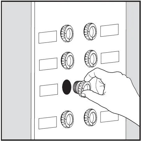 globe 65558 Alexandria 10 Inch 2 Light Matte Black 03